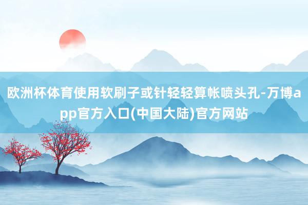 欧洲杯体育使用软刷子或针轻轻算帐喷头孔-万博app官方入口(中国大陆)官方网站