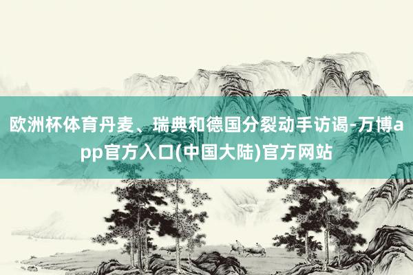 欧洲杯体育丹麦、瑞典和德国分裂动手访谒-万博app官方入口(中国大陆)官方网站