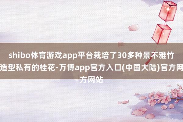 shibo体育游戏app平台栽培了30多种景不雅竹、造型私有的桂花-万博app官方入口(中国大陆)官方网站
