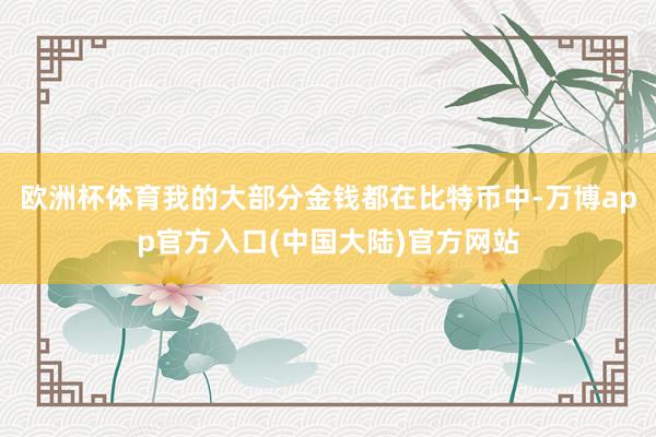欧洲杯体育我的大部分金钱都在比特币中-万博app官方入口(中国大陆)官方网站