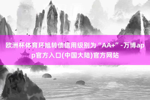欧洲杯体育环旭转债信用级别为“AA+”-万博app官方入口(中国大陆)官方网站