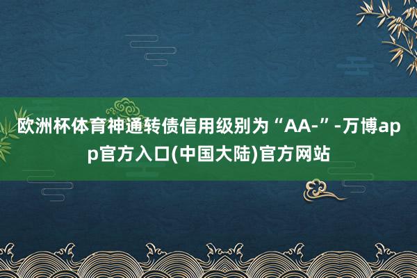 欧洲杯体育神通转债信用级别为“AA-”-万博app官方入口(中国大陆)官方网站