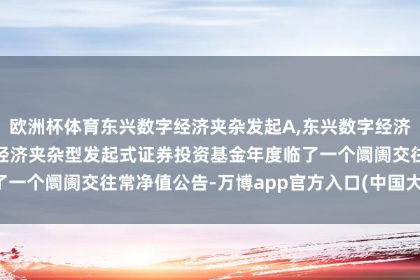 欧洲杯体育东兴数字经济夹杂发起A,东兴数字经济夹杂发起C: 东兴数字经济夹杂型发起式证券投资基金年度临了一个阛阓交往常净值公告-万博app官方入口(中国大陆)官方网站