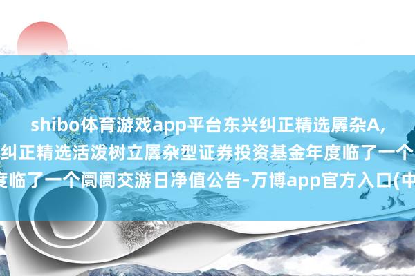 shibo体育游戏app平台东兴纠正精选羼杂A,东兴纠正精选羼杂C: 东兴纠正精选活泼树立羼杂型证券投资基金年度临了一个阛阓交游日净值公告-万博app官方入口(中国大陆)官方网站