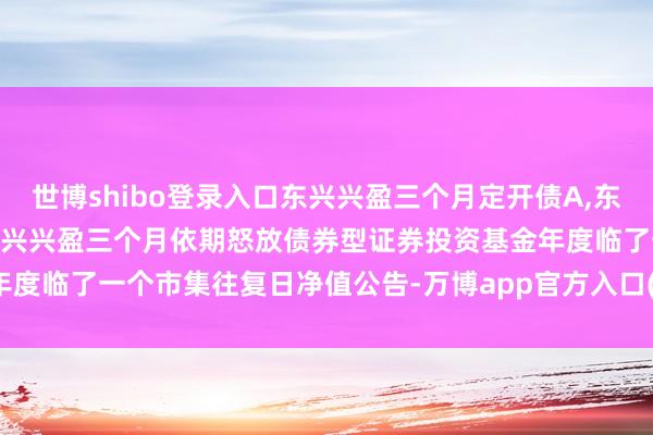 世博shibo登录入口东兴兴盈三个月定开债A,东兴兴盈三个月定开债C: 东兴兴盈三个月依期怒放债券型证券投资基金年度临了一个市集往复日净值公告-万博app官方入口(中国大陆)官方网站