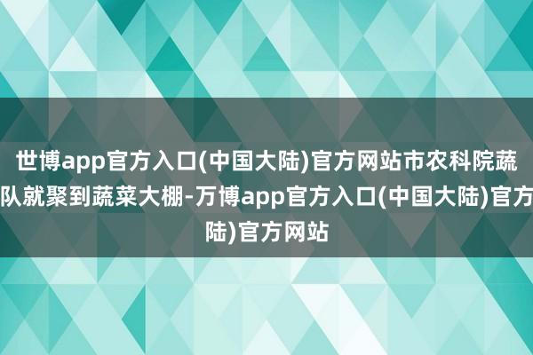世博app官方入口(中国大陆)官方网站市农科院蔬菜团队就聚到蔬菜大棚-万博app官方入口(中国大陆)官方网站