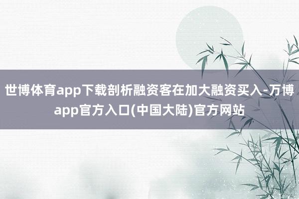 世博体育app下载剖析融资客在加大融资买入-万博app官方入口(中国大陆)官方网站