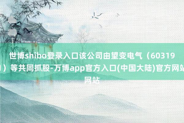 世博shibo登录入口该公司由望变电气（603191）等共同抓股-万博app官方入口(中国大陆)官方网站