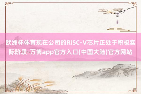 欧洲杯体育现在公司的RISC-V芯片正处于积极实际阶段-万博app官方入口(中国大陆)官方网站