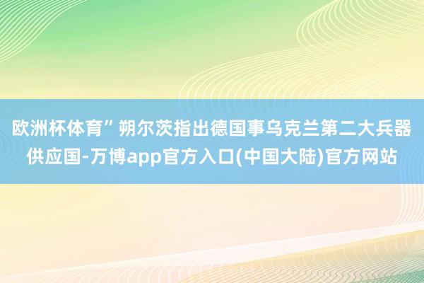 欧洲杯体育”　　朔尔茨指出德国事乌克兰第二大兵器供应国-万博app官方入口(中国大陆)官方网站