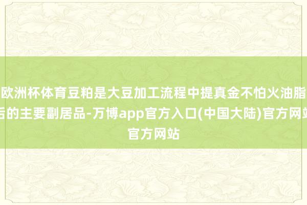 欧洲杯体育豆粕是大豆加工流程中提真金不怕火油脂后的主要副居品-万博app官方入口(中国大陆)官方网站