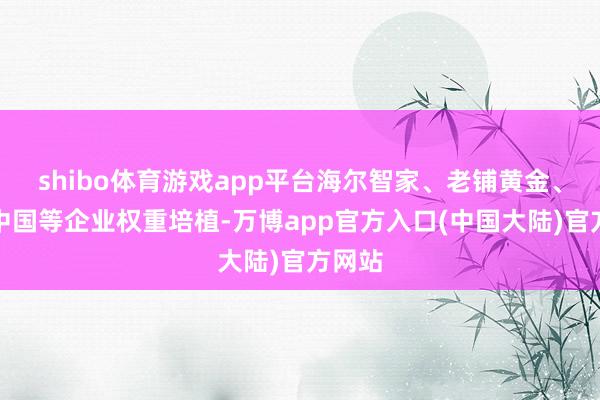 shibo体育游戏app平台海尔智家、老铺黄金、百胜中国等企业权重培植-万博app官方入口(中国大陆)官方网站