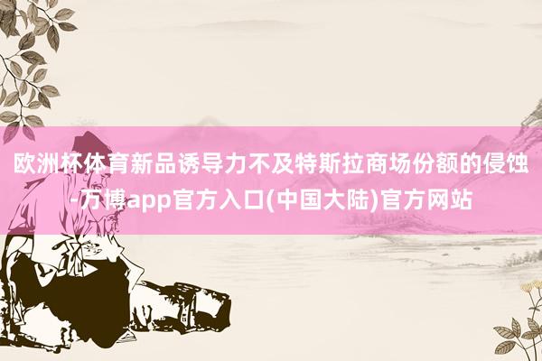 欧洲杯体育新品诱导力不及  特斯拉商场份额的侵蚀-万博app官方入口(中国大陆)官方网站