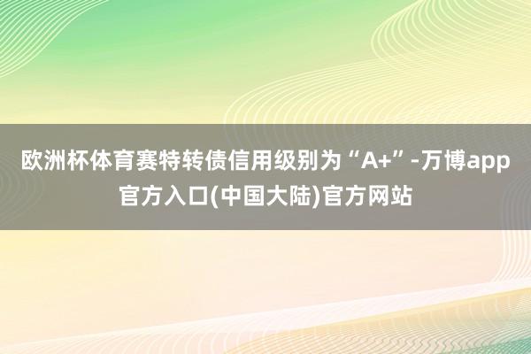 欧洲杯体育赛特转债信用级别为“A+”-万博app官方入口(中国大陆)官方网站