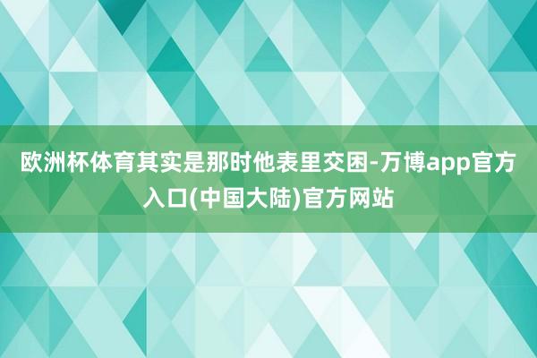 欧洲杯体育其实是那时他表里交困-万博app官方入口(中国大陆)官方网站